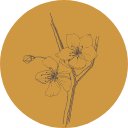 tarot-icon-14 Einzelberatung 3