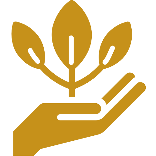 Selbstverantwortung_Icon campus-willkommen 15